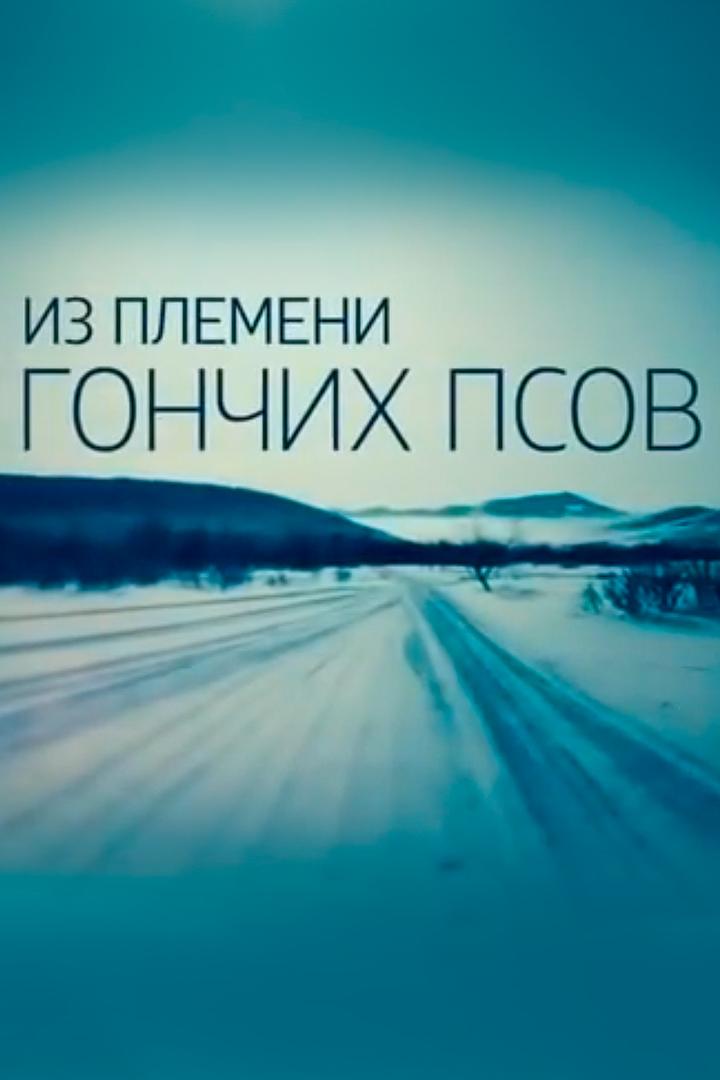 Из племени гончих псов