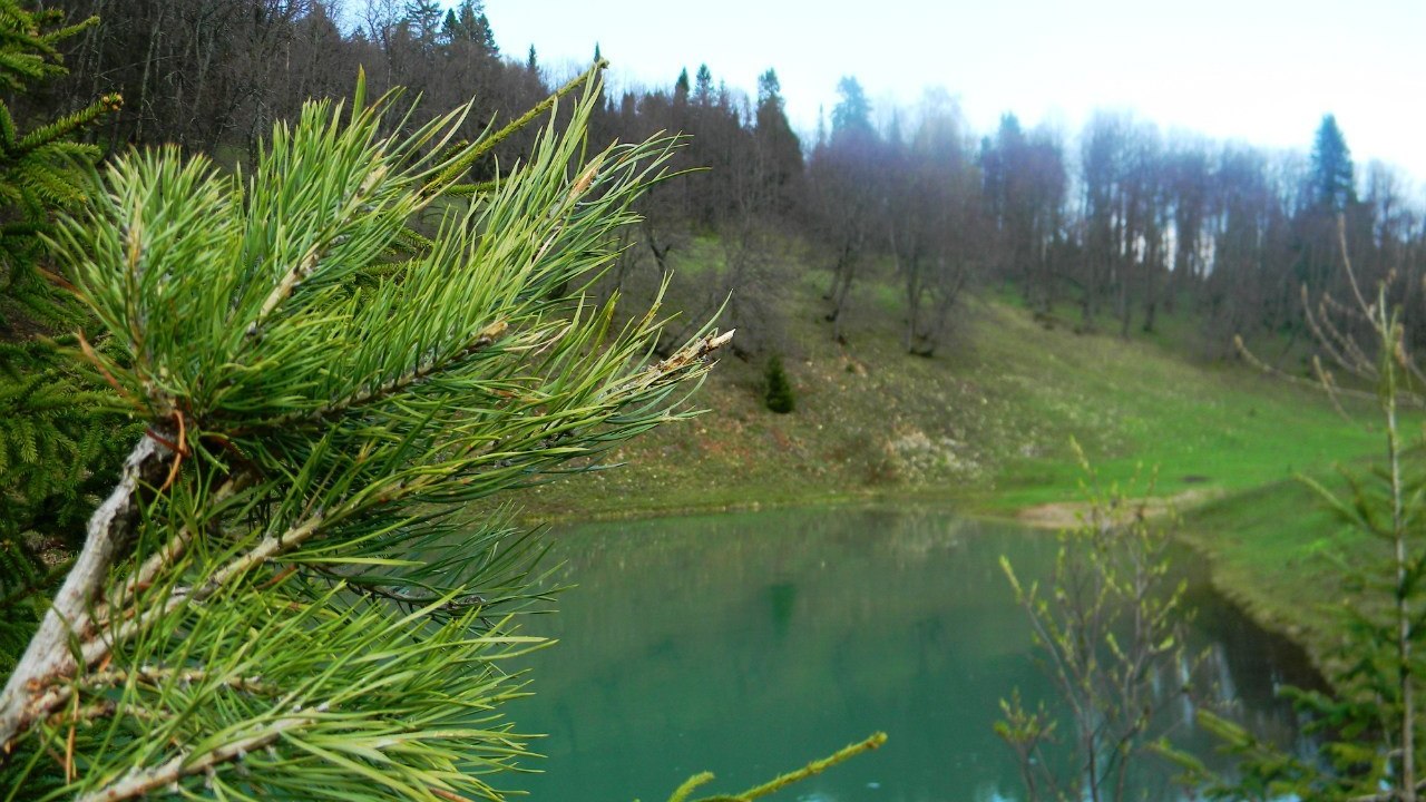 Озеро Сарва