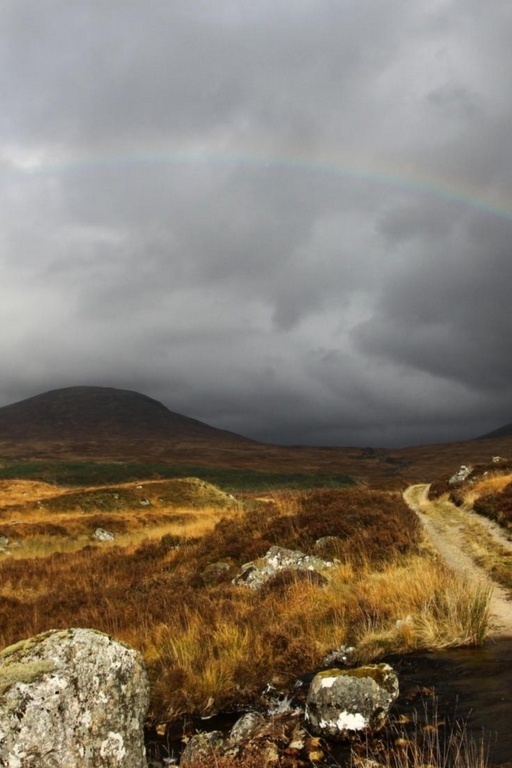 Перед дождём