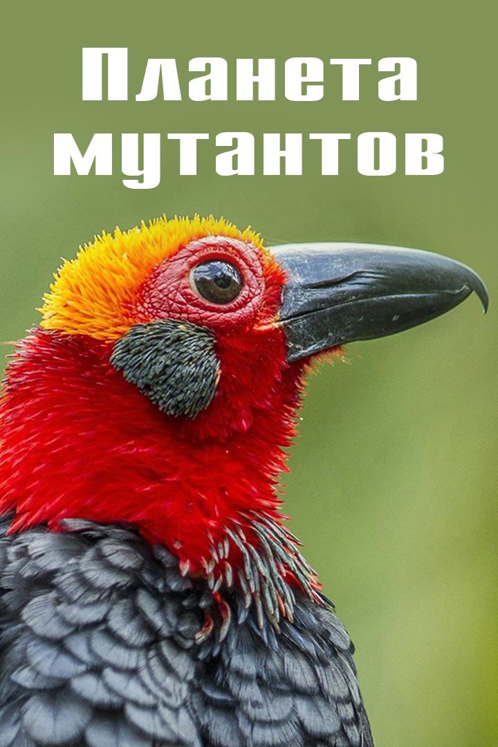 Планета мутантов