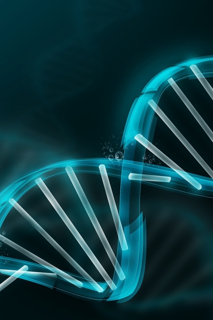 Остаться людьми