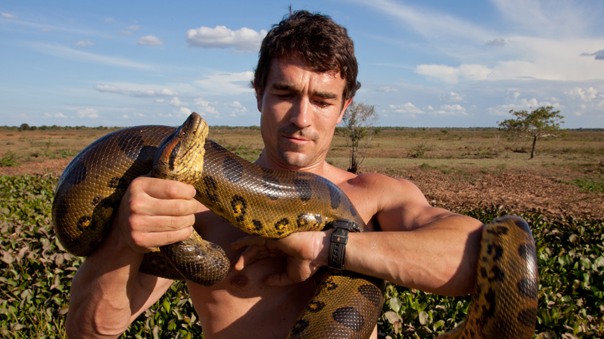 Большие и страшные