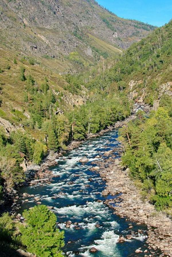 Река Чульча