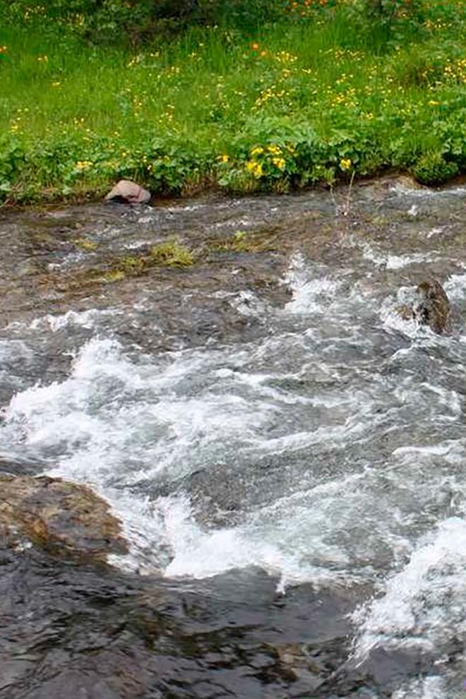 Ручей Озёрный