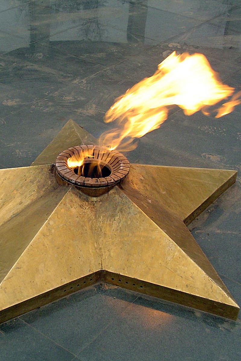 Свидетели войны