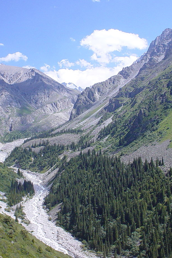 Долина реки Ала-Арча
