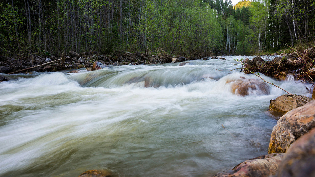 Река Реветь
