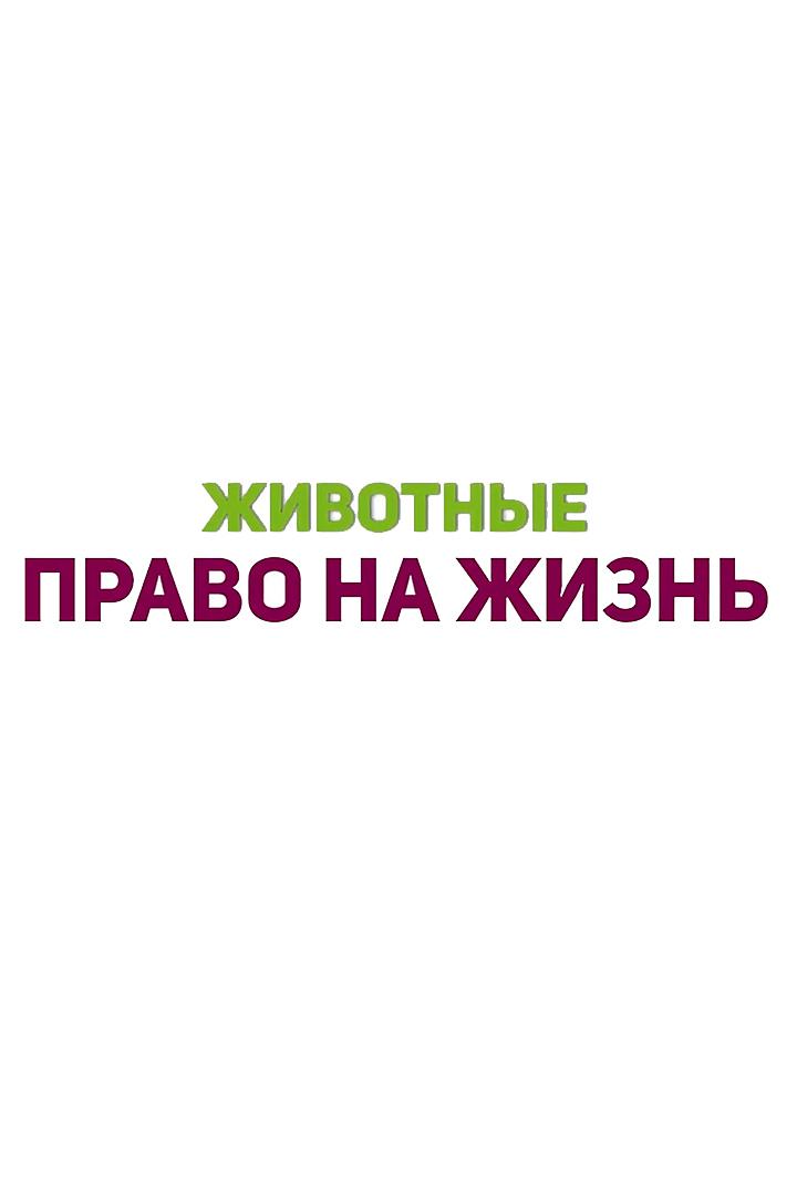 Животные - право на жизнь