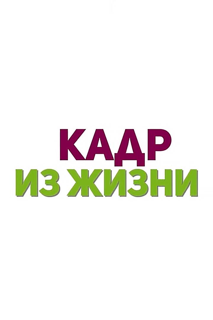 Кадр из жизни