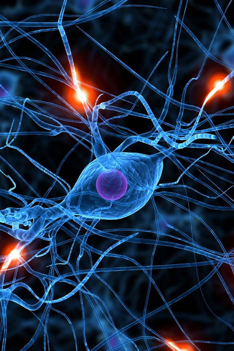 Всё от нервов