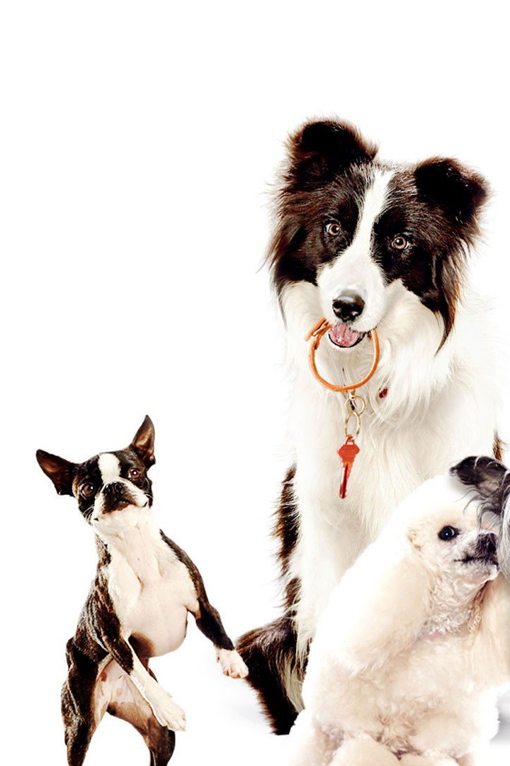 Битва пород