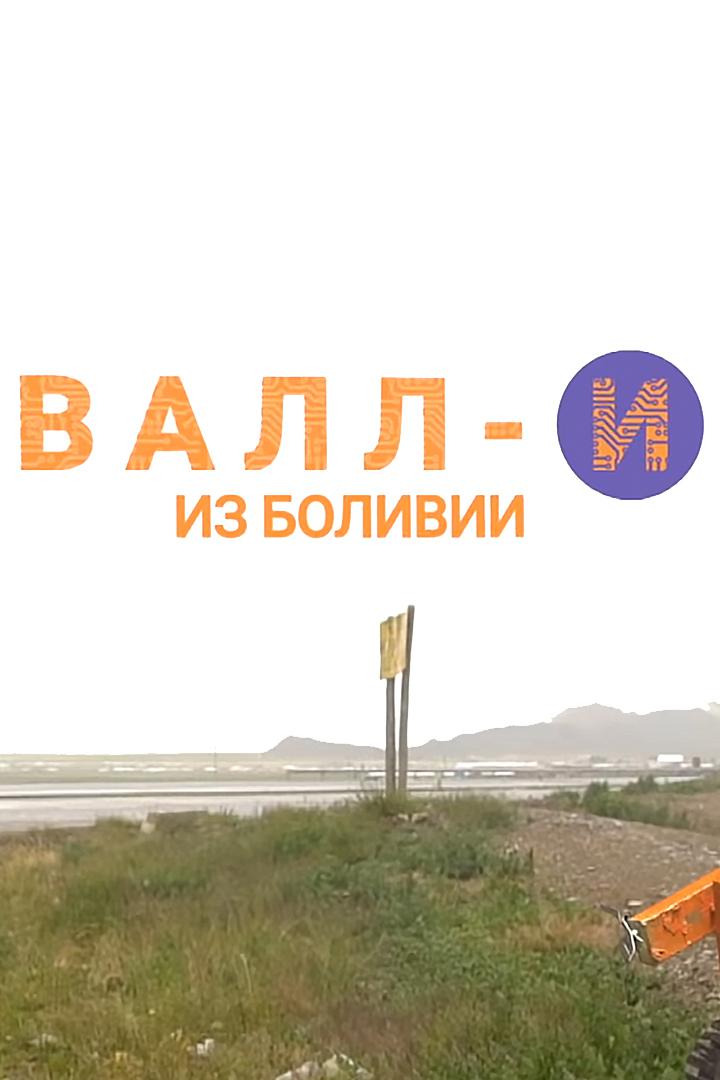 Валл-И из Боливии