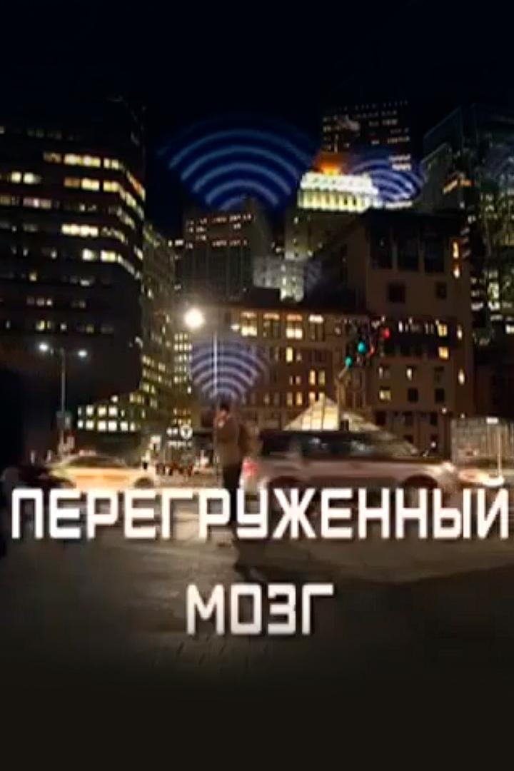 Перегруженный мозг
