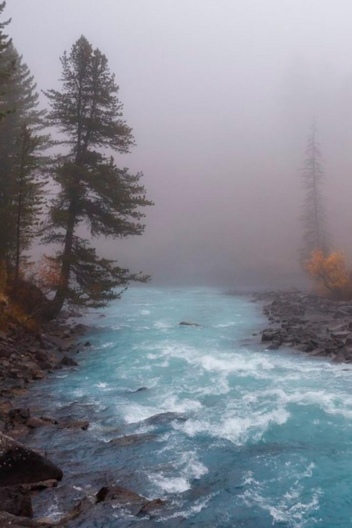 Утренние туманы над Катунью