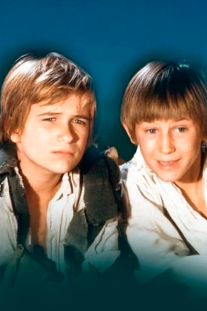 Приключения Тома Сойера