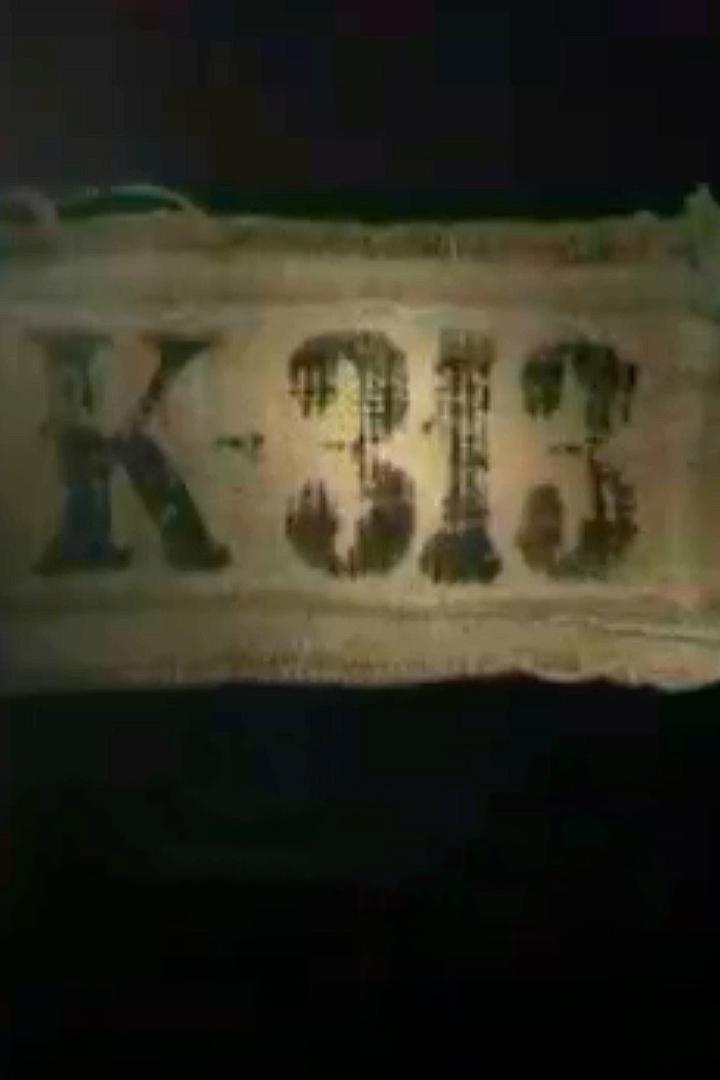 К-313