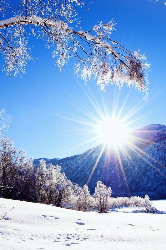 Мороз и солнце