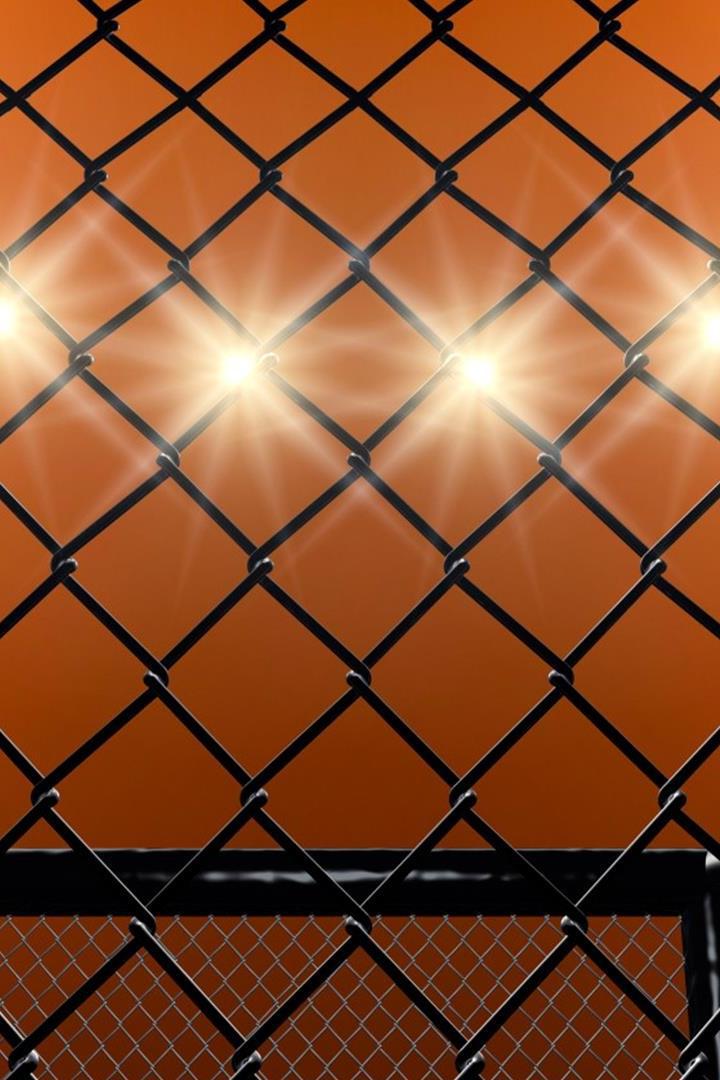 Турнир WFCA 41 в спорт холле "Колизей"