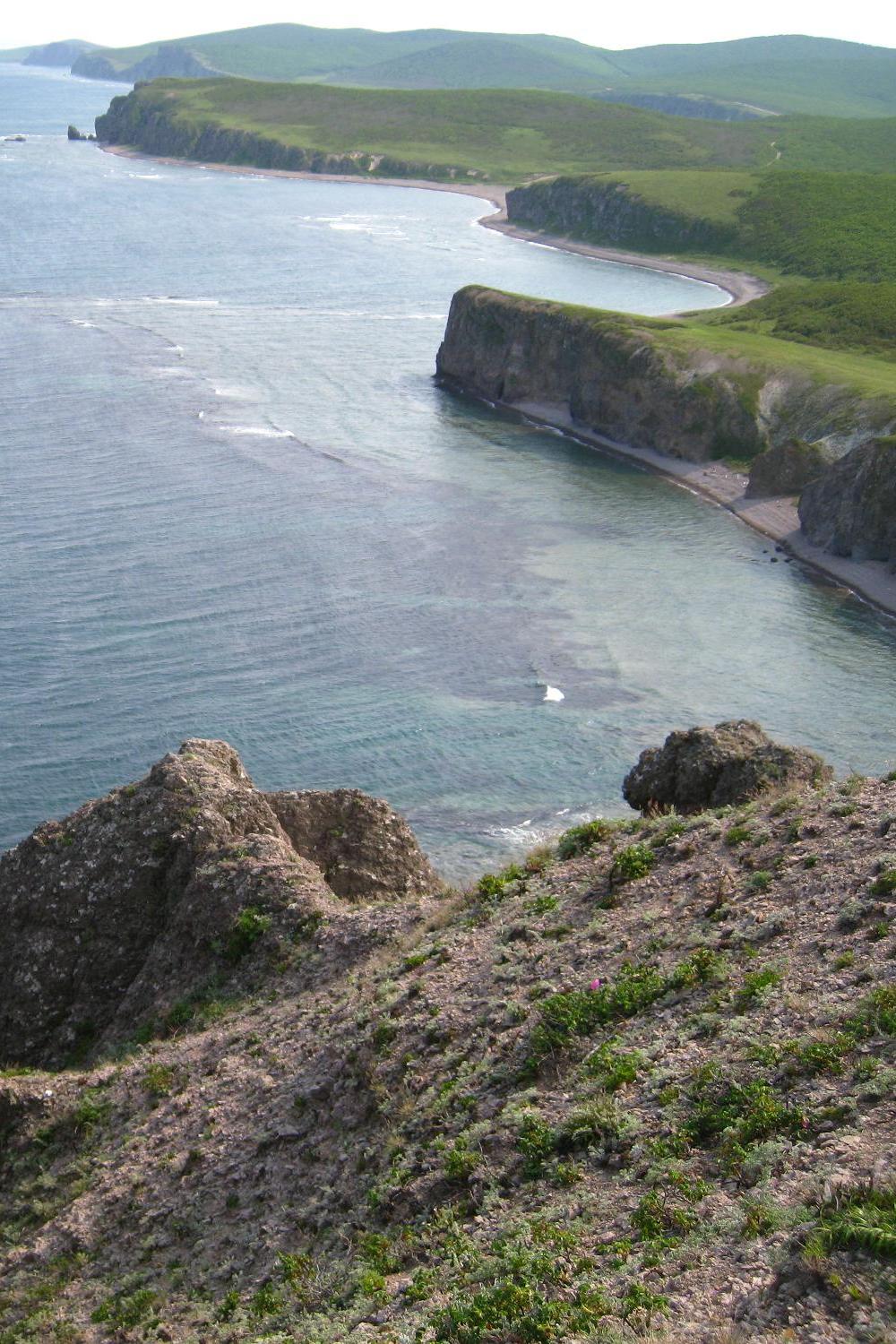 Бухта Нерпа