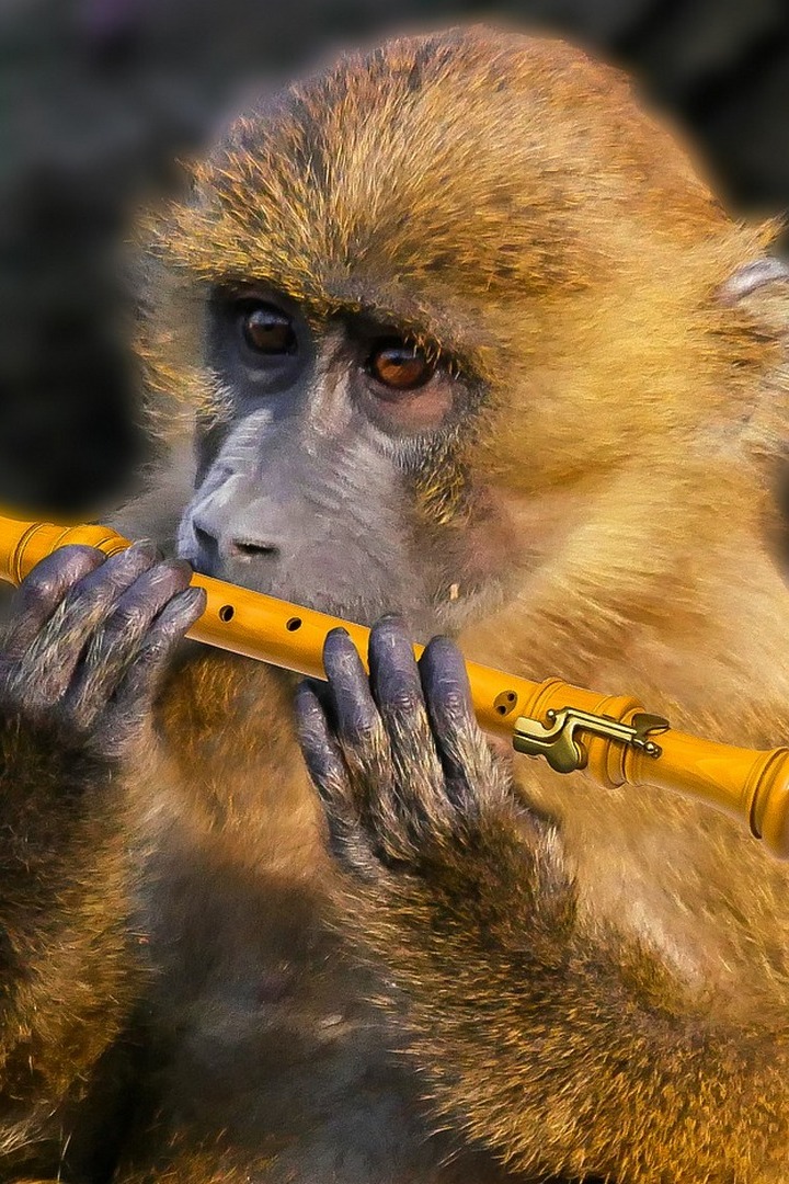 Цирковая семья