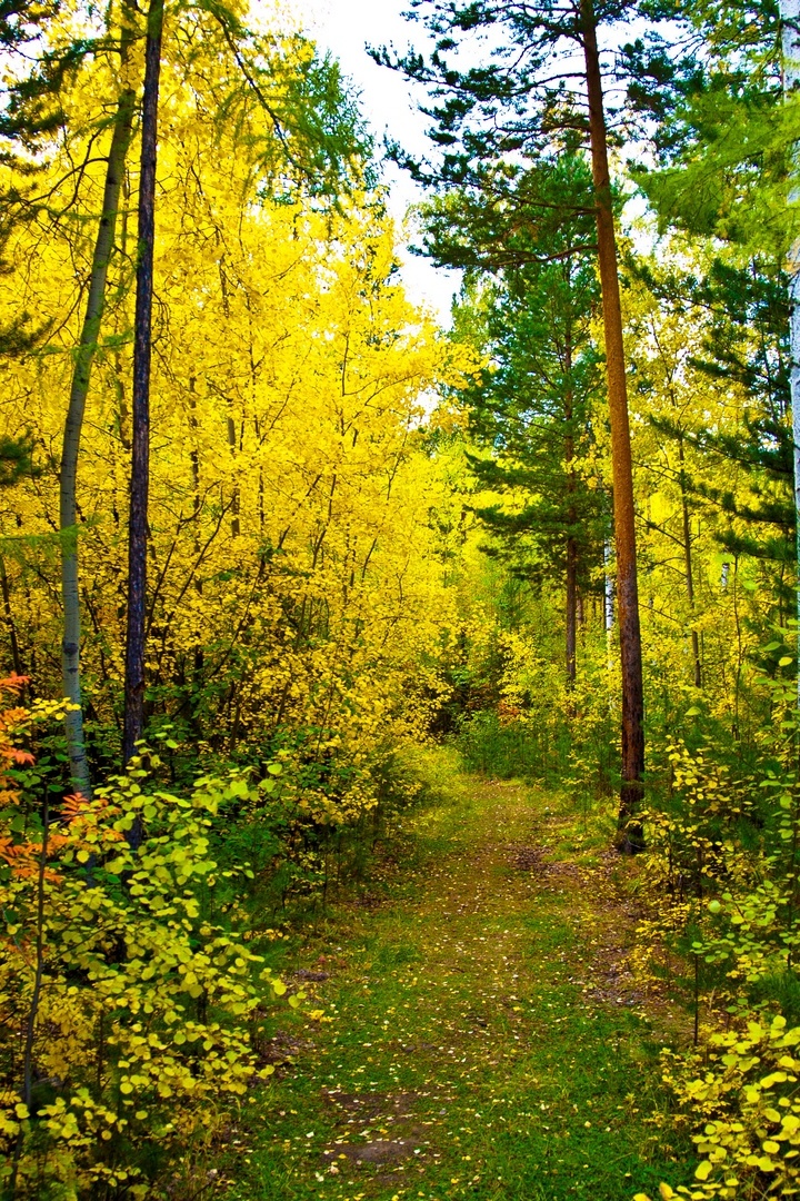 Один день из жизни