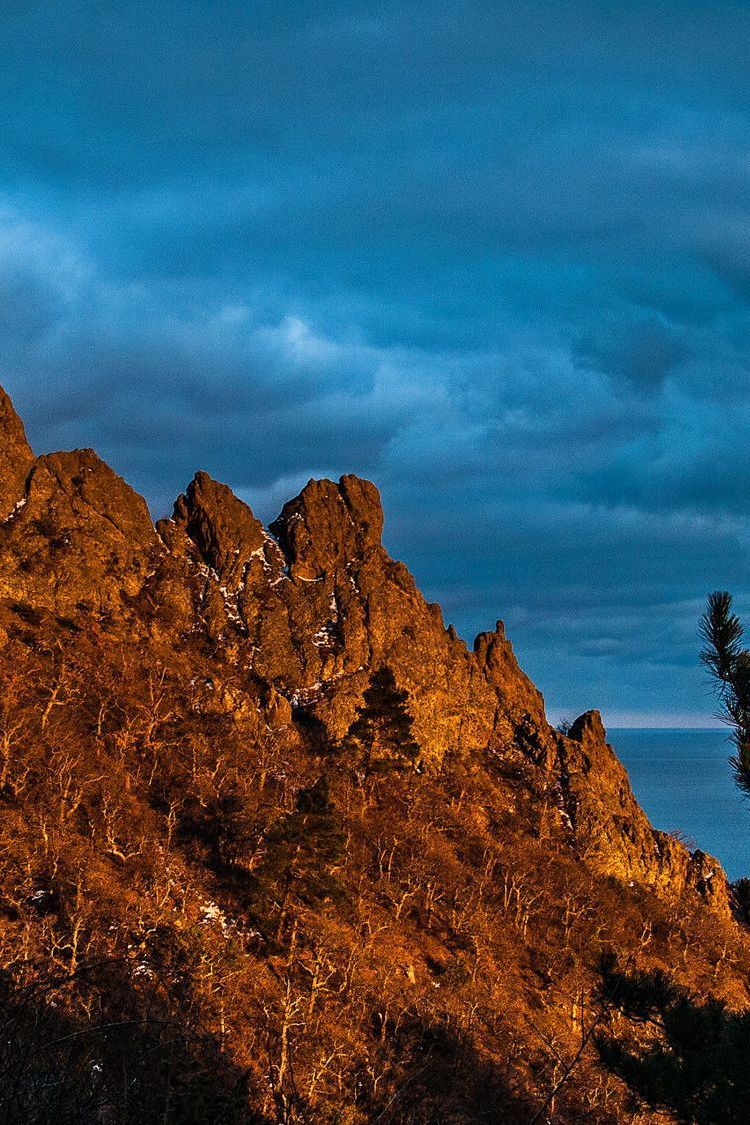 Хребет Дракон