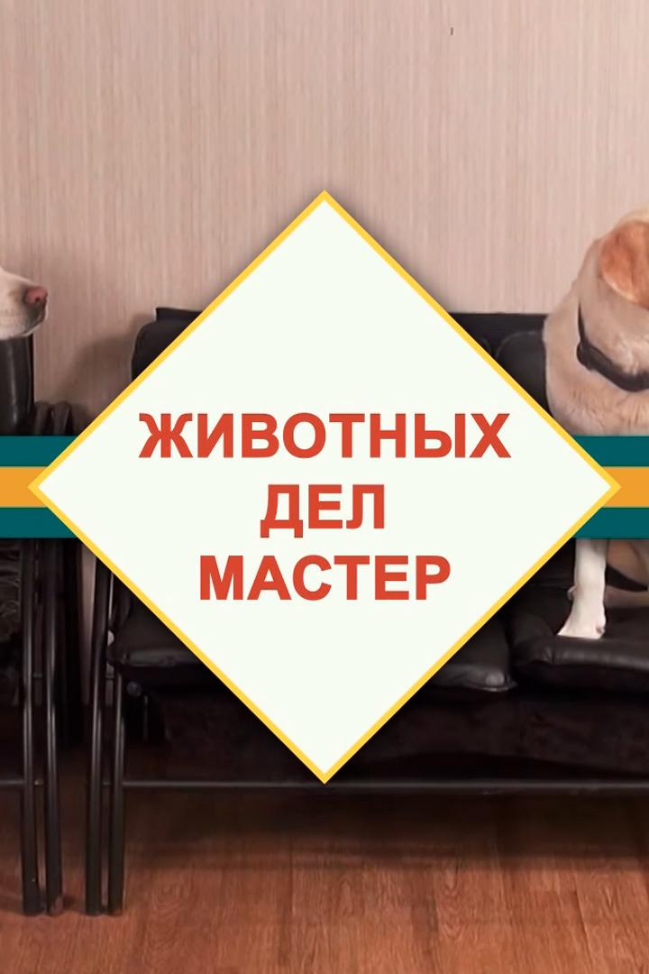 Животных дел мастер