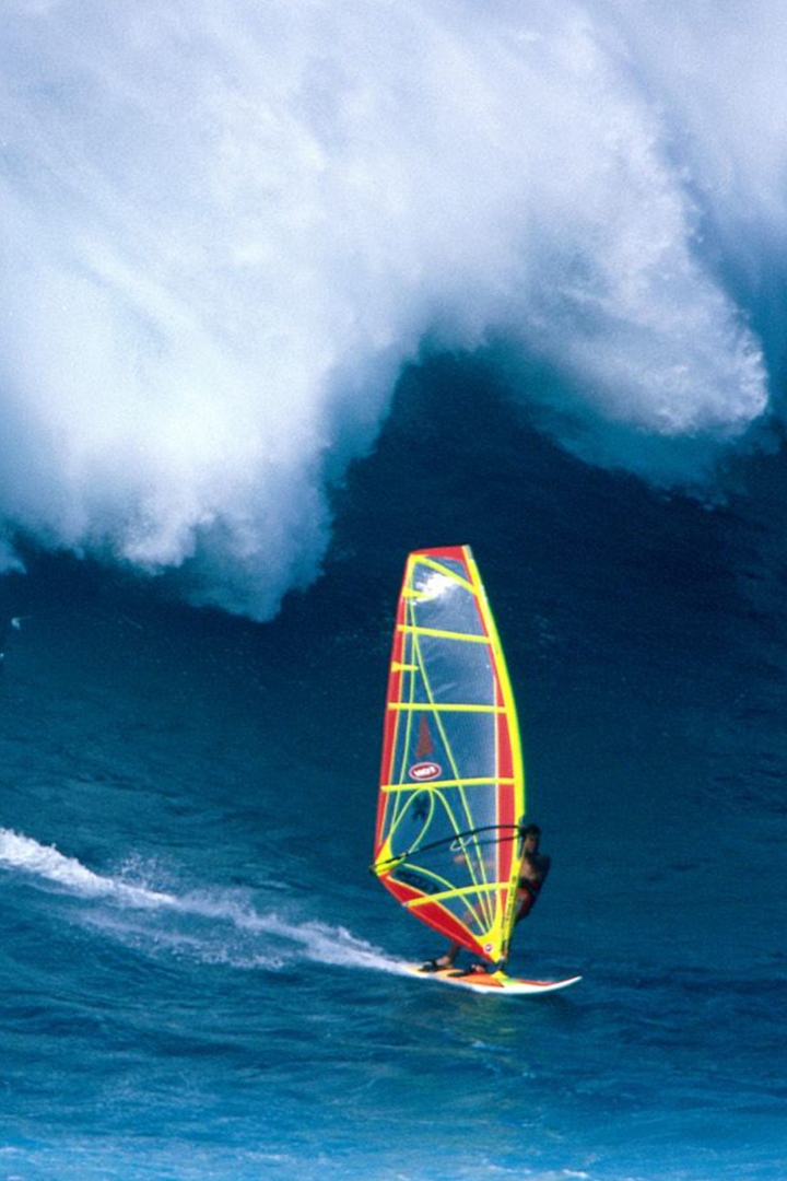 Короли виндсерфинга