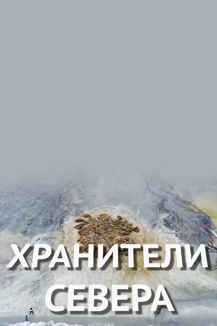 Хранители севера