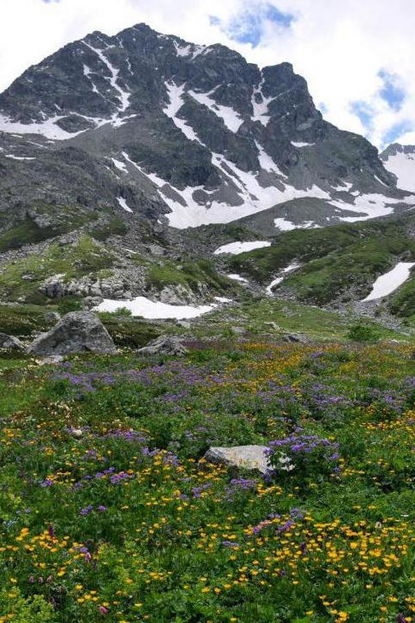 Хребет Чирх