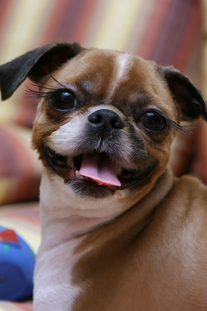 Модные штучки