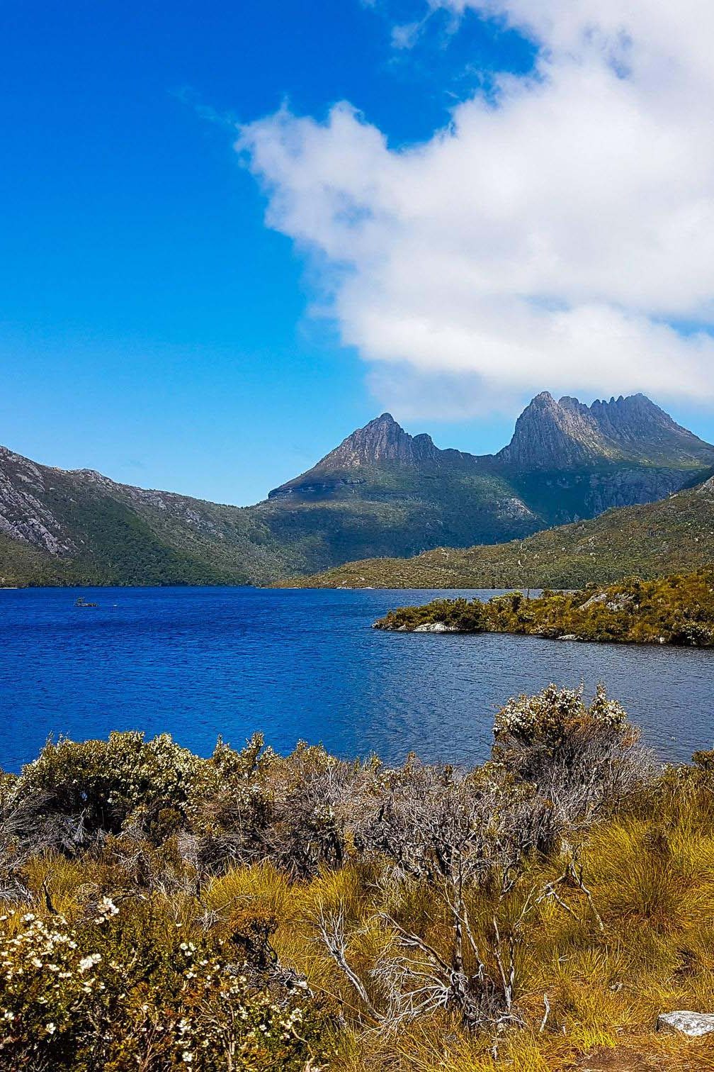 Дикарями по Тасмании