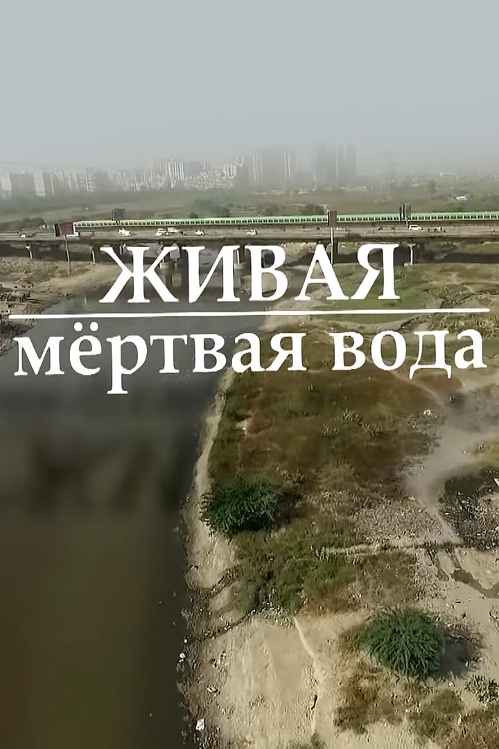 Вода живая и мёртвая