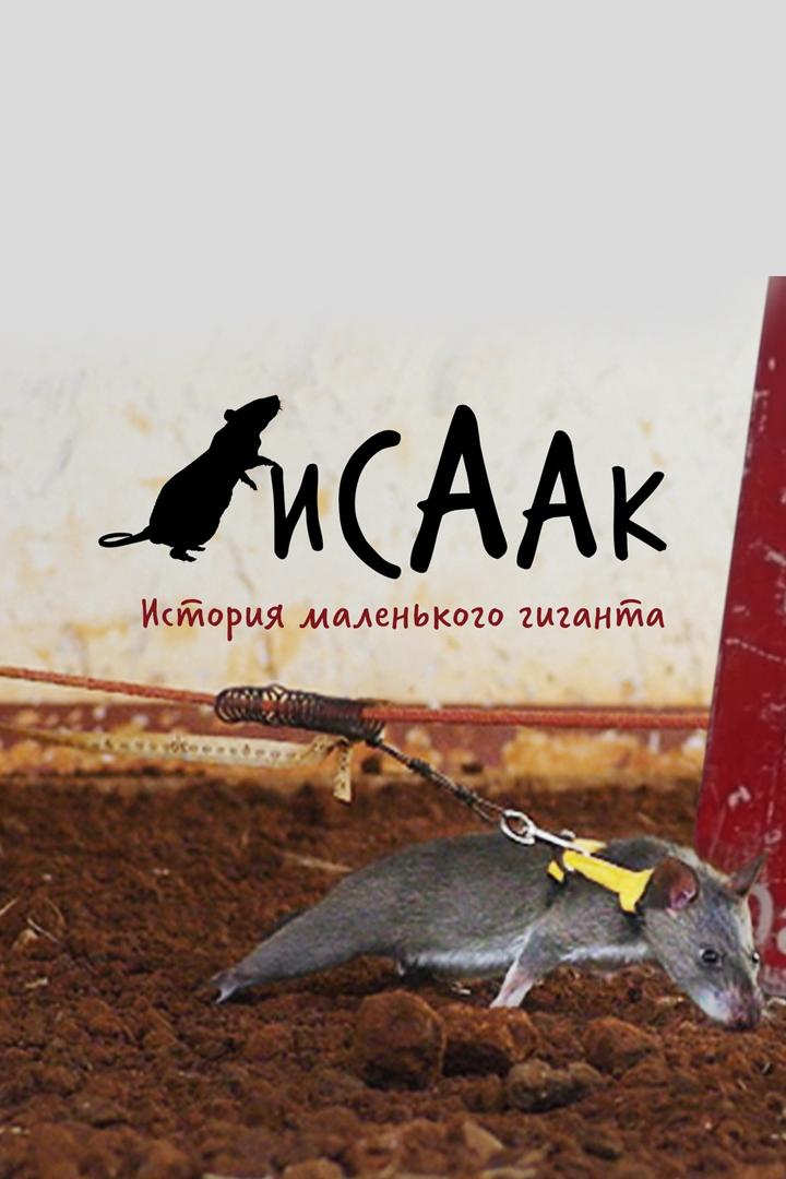 Исаак. История маленького гиганта