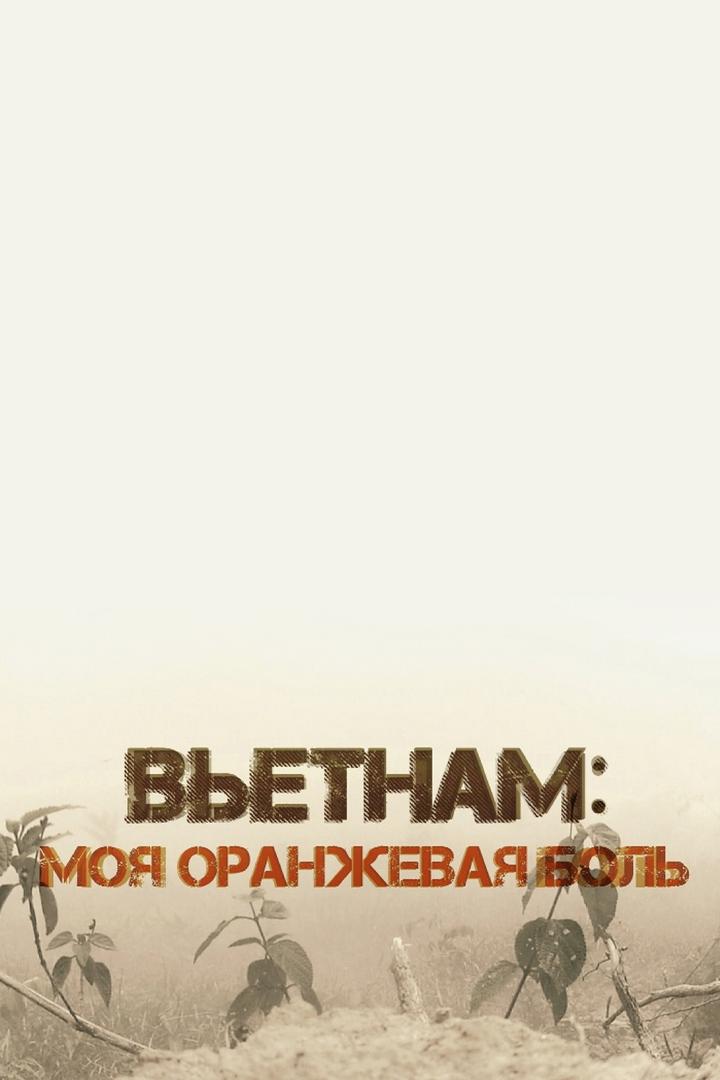 Вьетнам: моя оранжевая боль