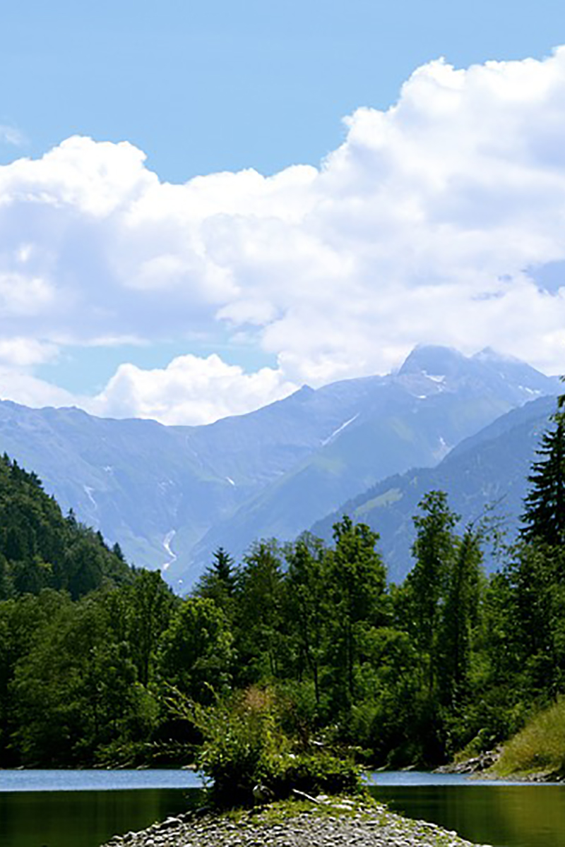 Лесное озеро