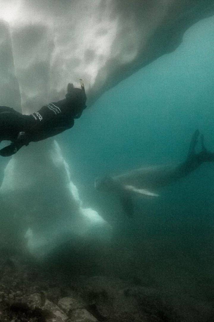 Дыхание Арктики