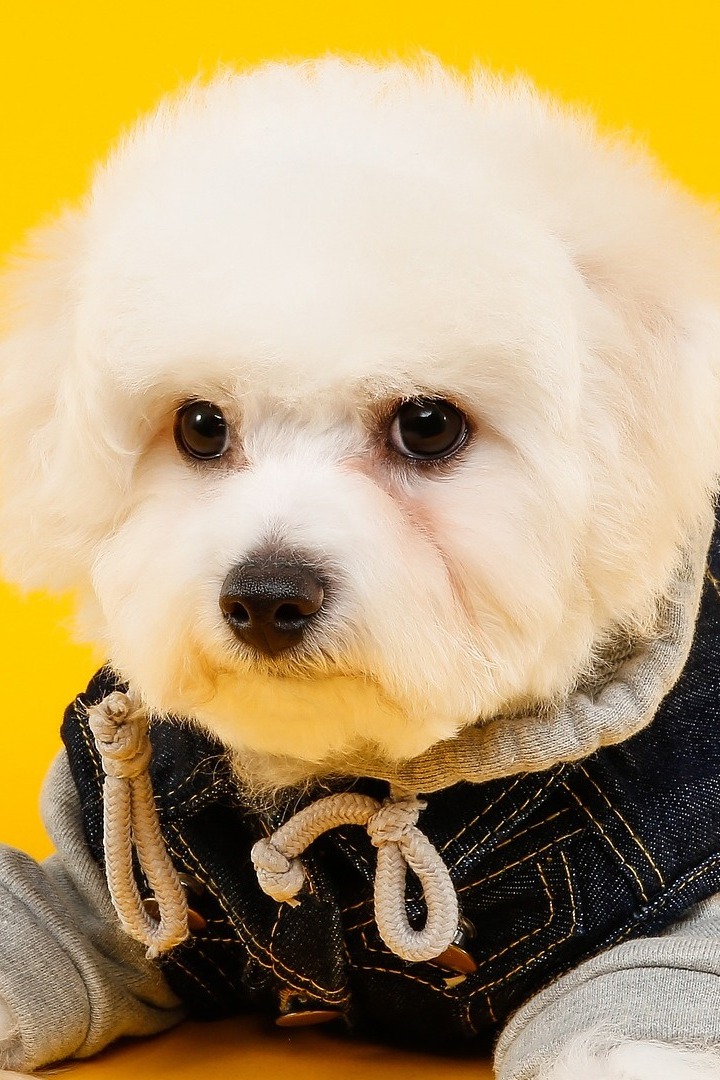 Смотрите, кто пришёл!