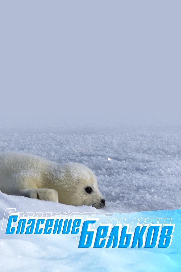 Спасение бельков