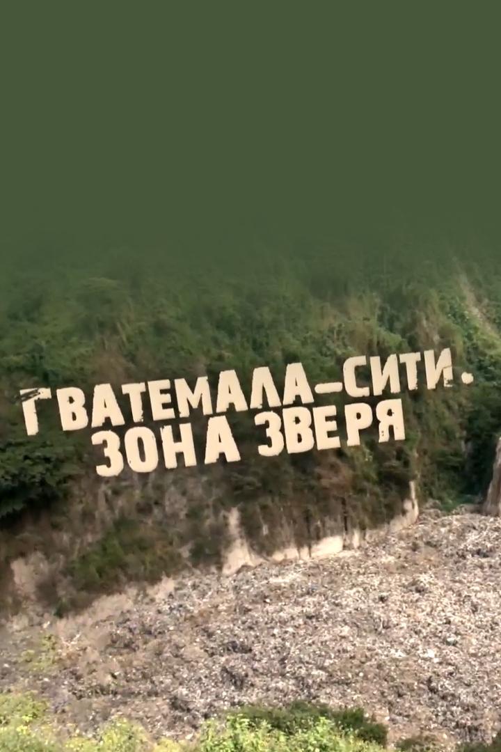 Гватемала-Сити. Зона зверя