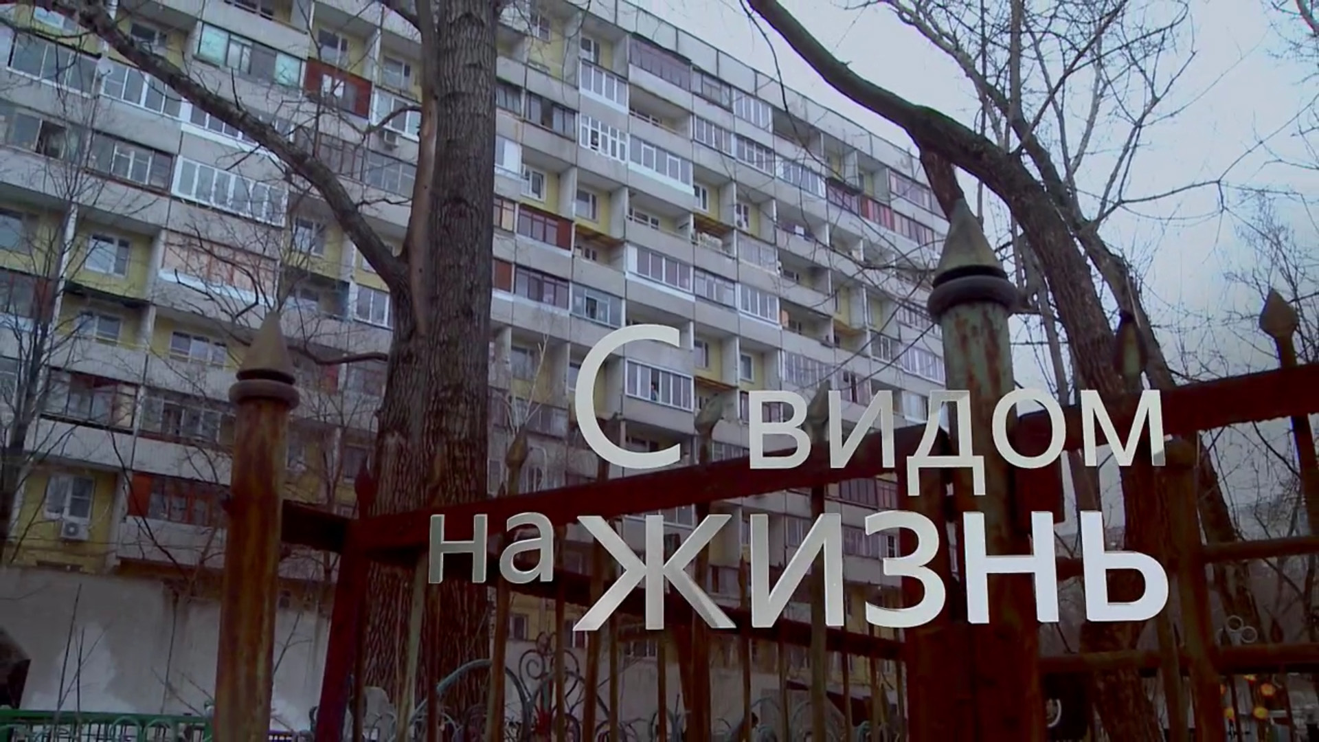 С видом на жизнь