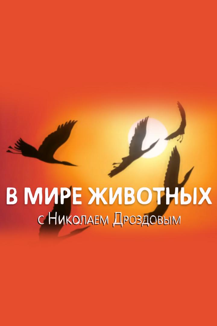 В мире животных
