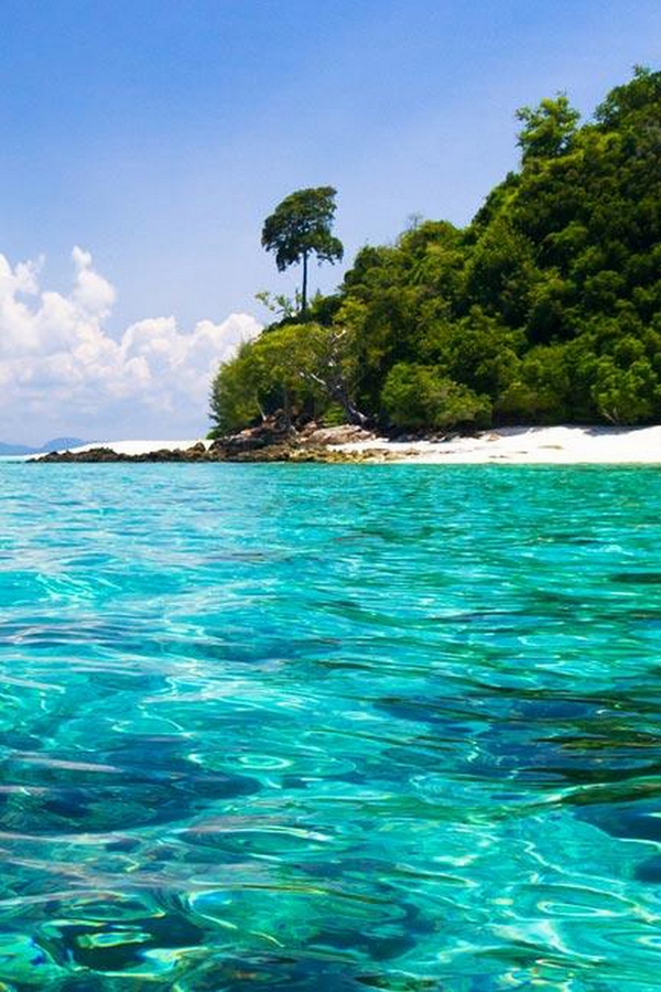 Карибские приключения