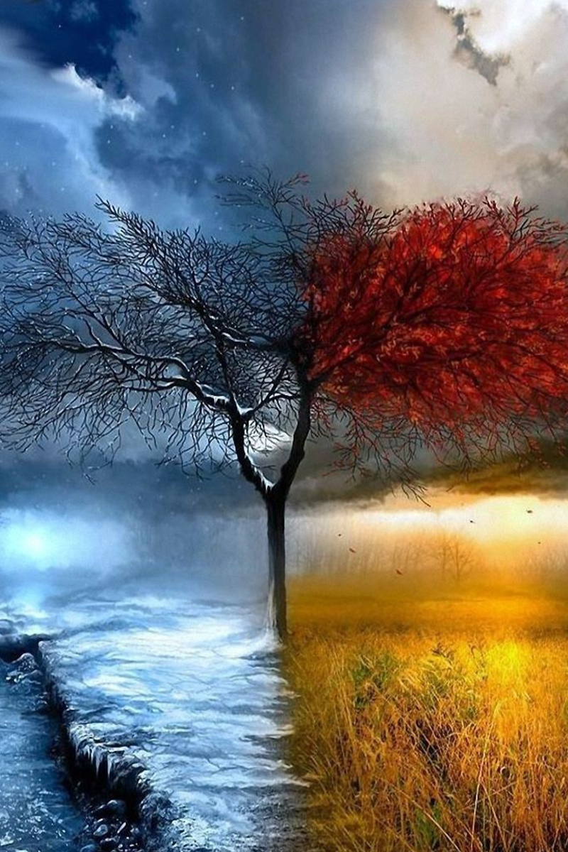 Фотография "до" и "после"