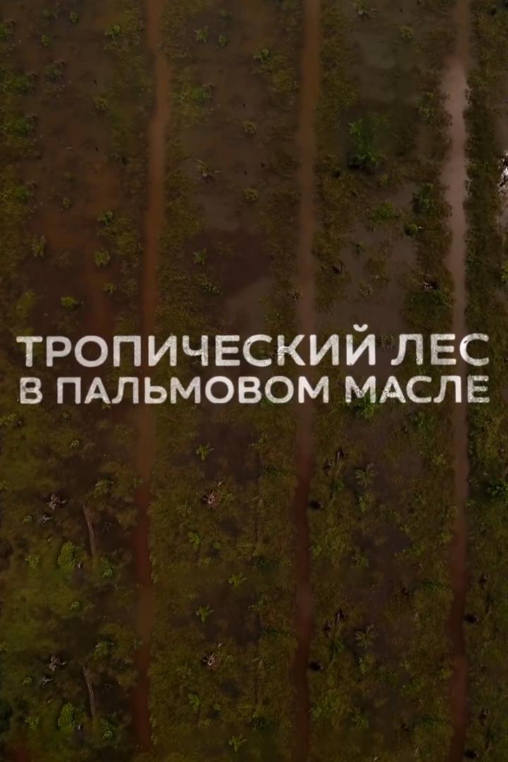 Тропический лес в пальмовом масле