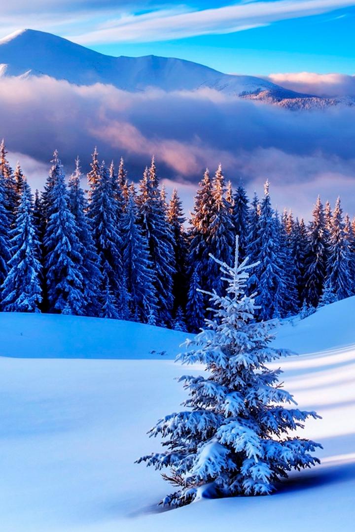 Шёпот близкой зимы