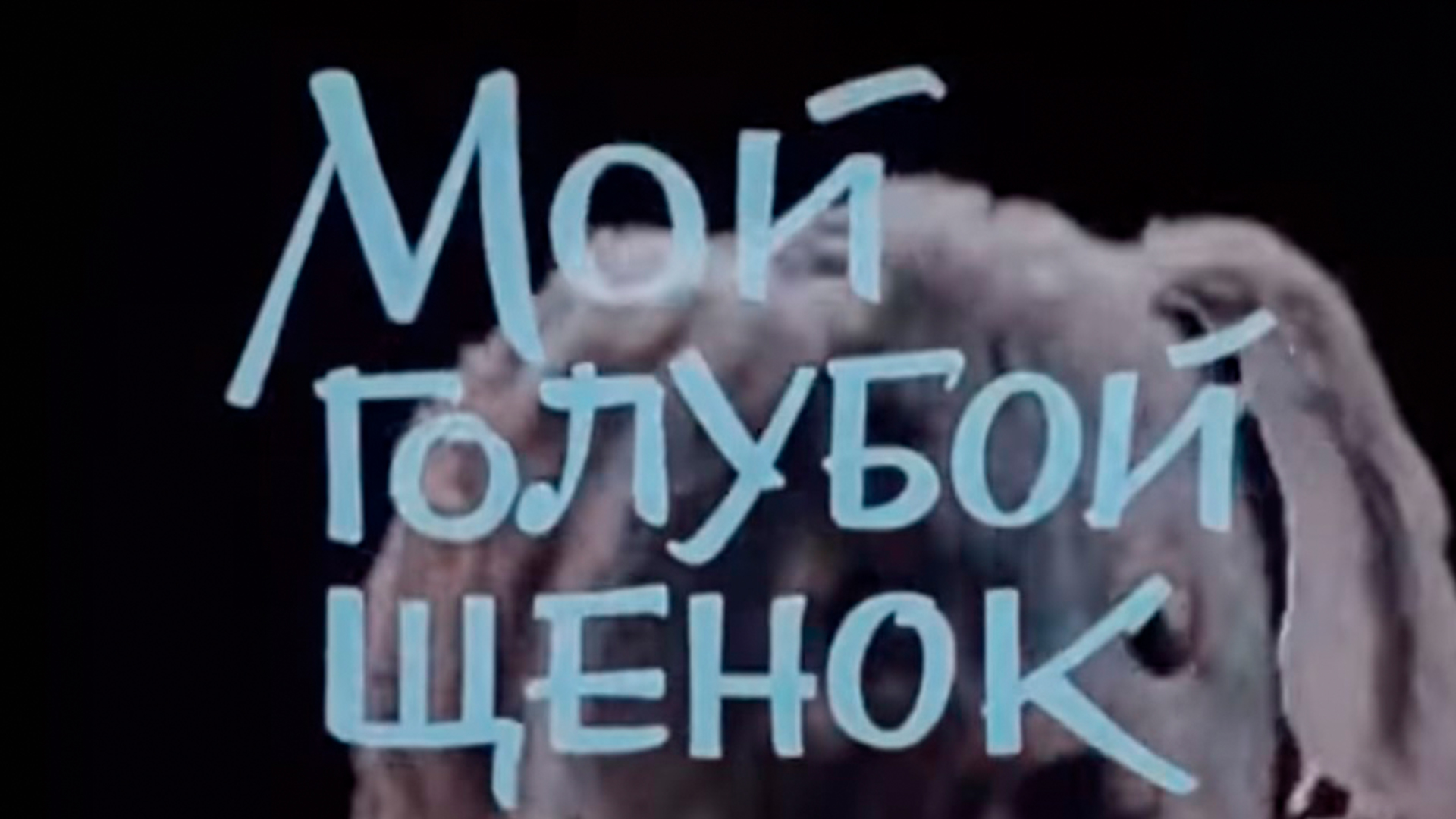 Мой голубой щенок