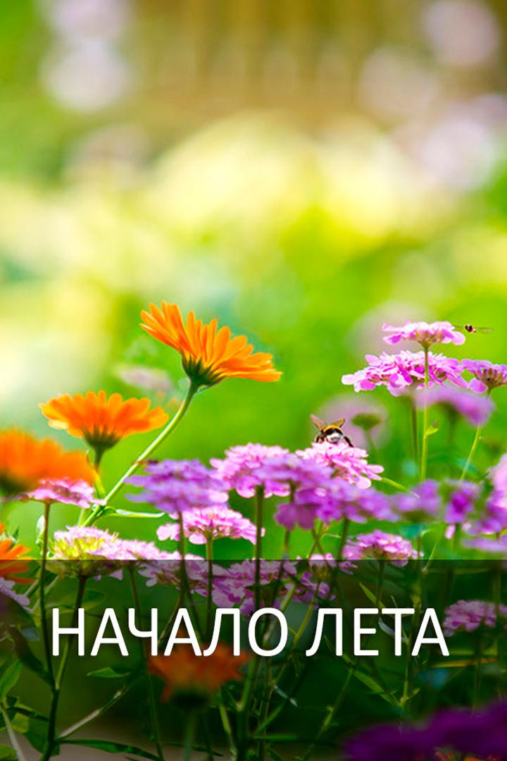 Начало лета