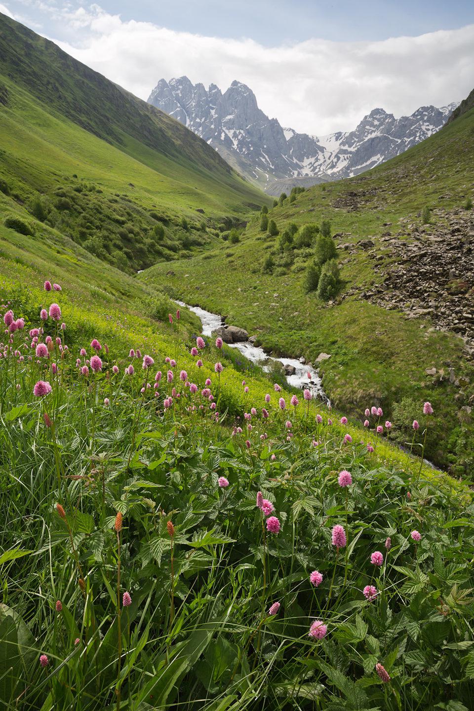 Альпийские луга Пихтерека