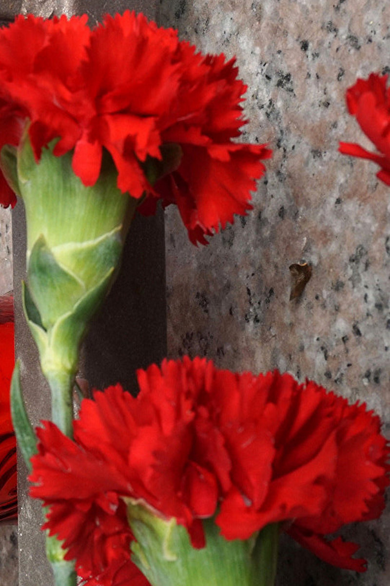 Смерть артиста